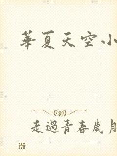 华夏天空小说网