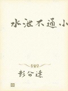 水泄不通小说
