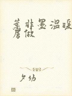 叶非墨温暖在厨房做