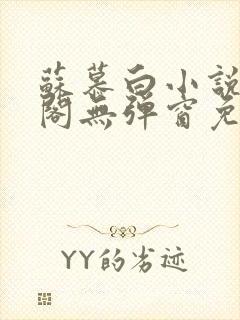 苏慕白小说笔趣阁无弹窗免费阅读