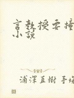 言教授要撞坏了小说