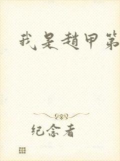 我是赵甲第小说