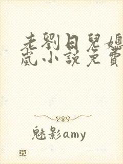 老刘日儿媳妇张岚小说免费阅读