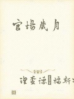 官场岁月