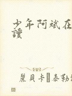 少年阿斌在线阅读
