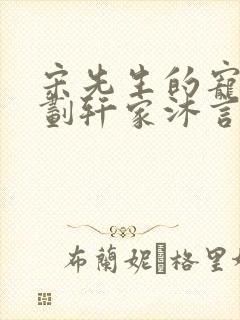 宋先生的宠妻计划轩家沐言