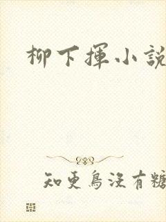 柳下挥小说