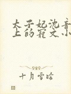 太子妃沈音和皇上的宠文小说