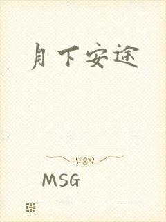 月下安途