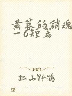 黄蓉的销魂夜1一6短篇