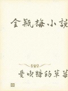 金瓶梅小说下载