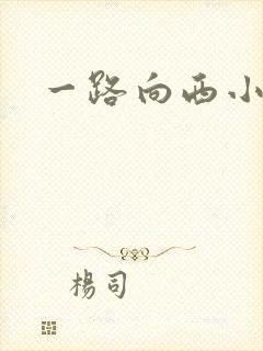 一路向西小说