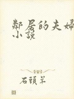 邻居的夫妇交换小说