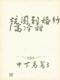 校园到婚纱1V1高冷甜