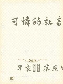 可怜的社畜小说