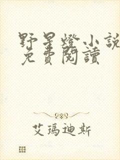 野星灯小说全文免费阅读