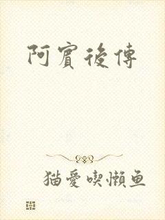 阿宾后传