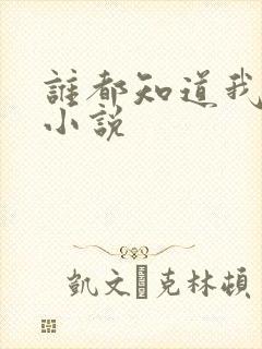 谁都知道我爱你小说