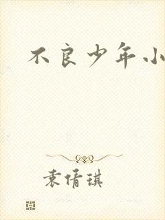 不良少年小说