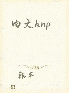 肉文hnp