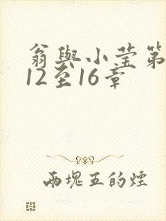 翁与小莹第十部12至16章