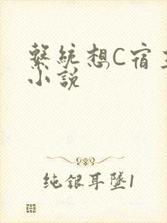 系统想C宿主的小说