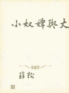 小奴婢与大少爷