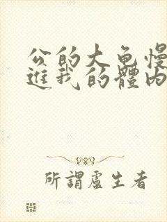 公的大龟慢慢挺进我的体内