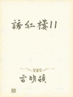 诱红楼11