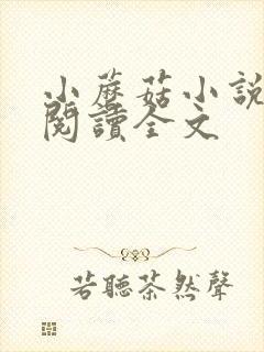 小蘑菇小说免费阅读全文