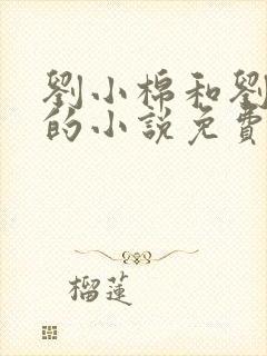 刘小棉和刘易文的小说免费阅读