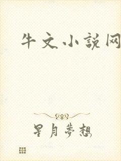 牛文小说网