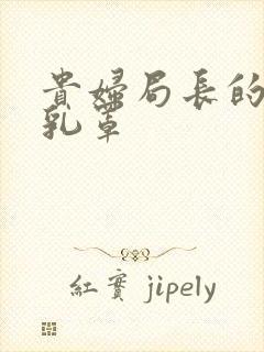 贵妇局长的蕾丝乳罩