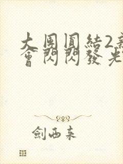 大团圆结2亲情会闪闪发光亲情会2