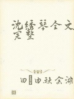 沈绣琴全文阅读完整