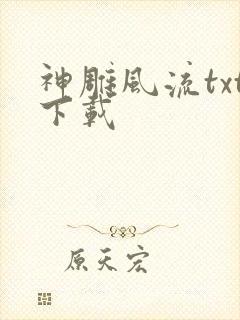 神雕风流txt下载