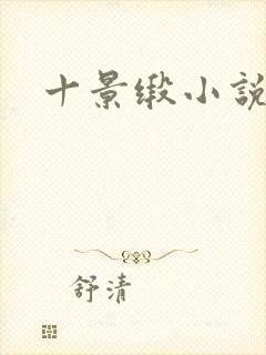 十景缎小说
