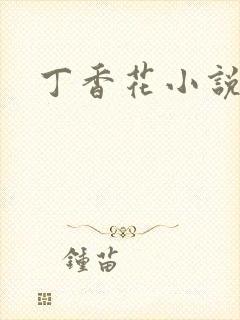 丁香花小说