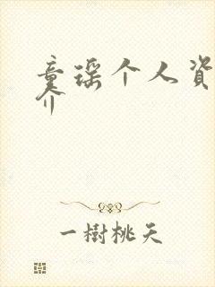 童瑶个人资料简介