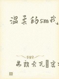 温柔的sm我