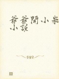 爷爷开小米的包小说
