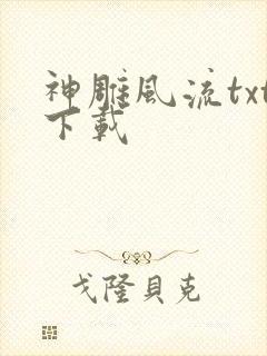 神雕风流txt下载