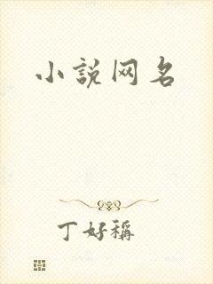 小说网名