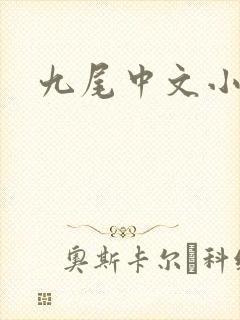 九尾中文小说网