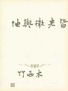 他与微光皆倾城