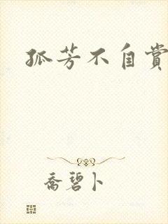 孤芳不自赏小说