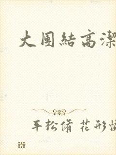 大团结高洁