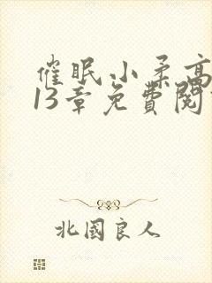 催眠小柔高达第13章免费阅读