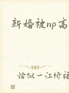 新婚被np高h