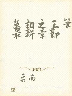 万相之王笔趣阁最新章节